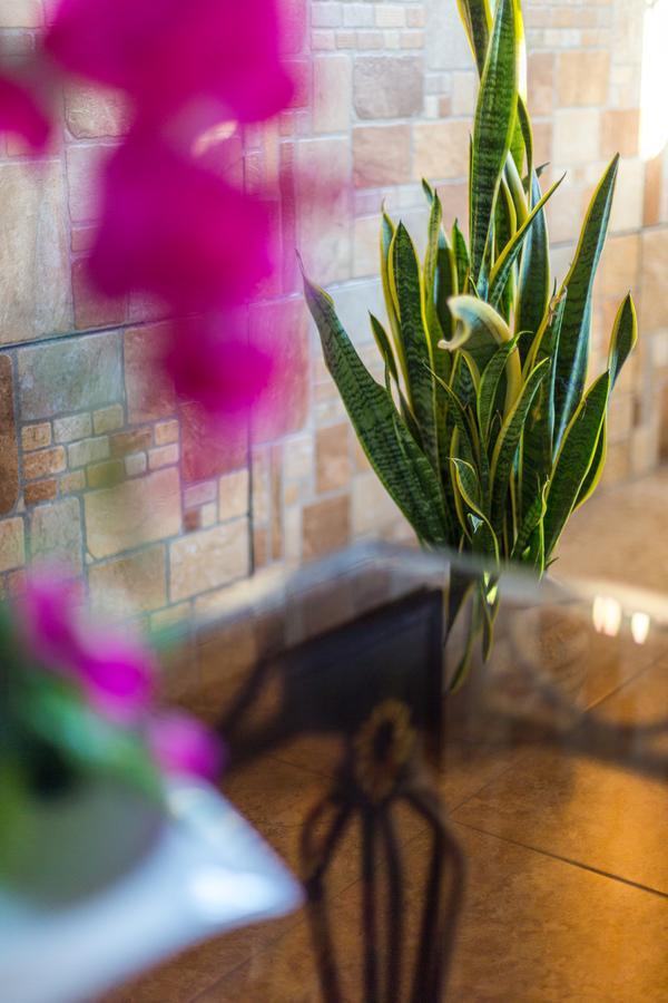 Merida Serviced Apartments Exterior photo